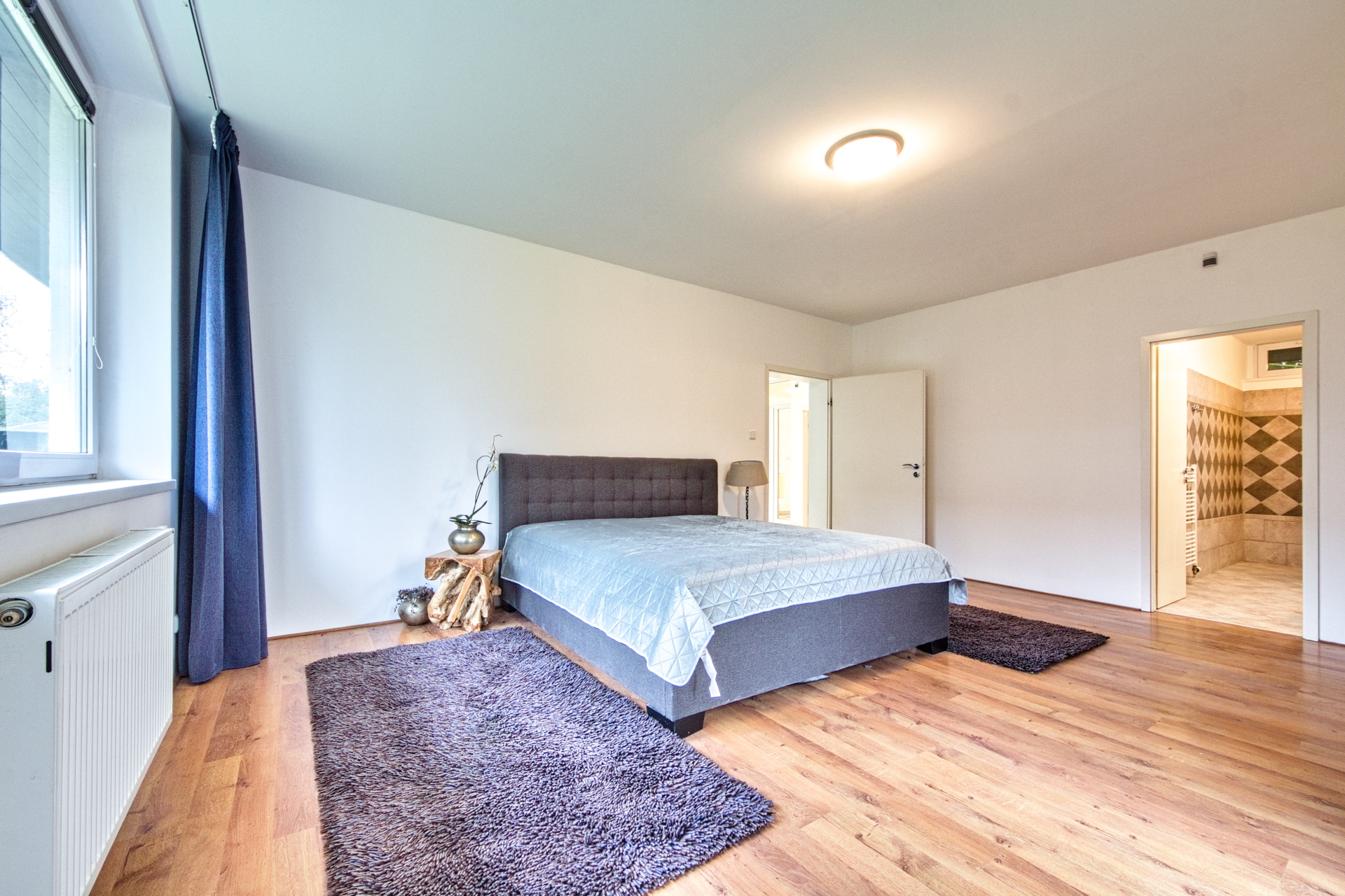 PRONÁJEM RODINNÉ REZIDENCE (380m²) SE VZROSTLOU ZAHRADOU – DOLNÍ BŘEŽANY – foto 19